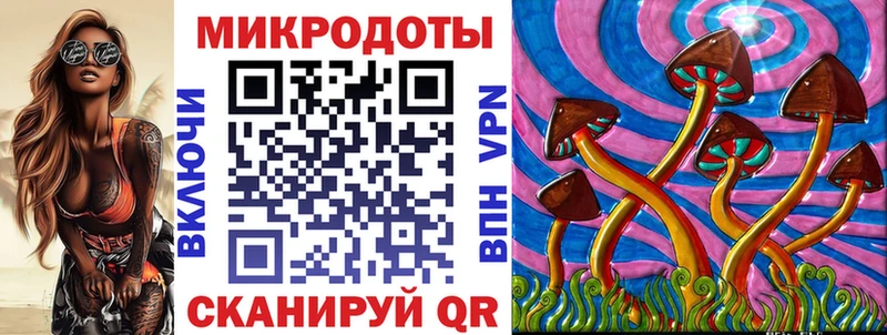Псилоцибиновые грибы мухоморы  дарнет шоп  Хабаровск 