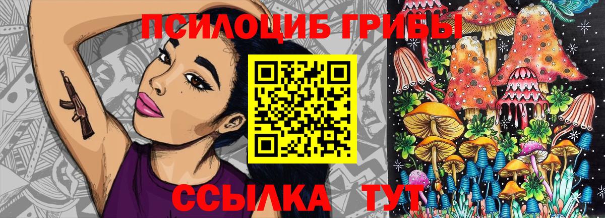 Хабаровск  Галлюциногенные грибы GOLDEN TEACHER  Вход с VPN 
